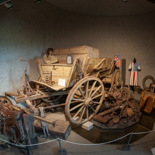 BBR19 (495)