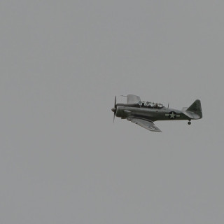 BBR19 (299)